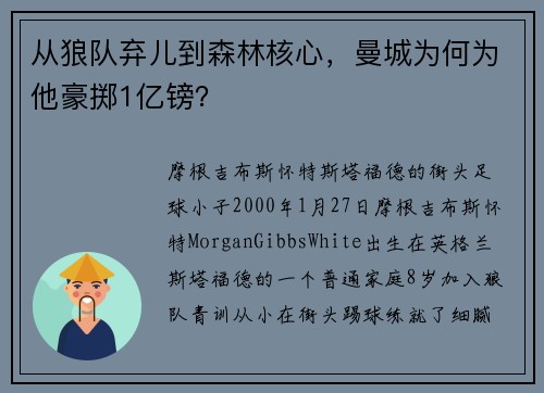 从狼队弃儿到森林核心，曼城为何为他豪掷1亿镑？